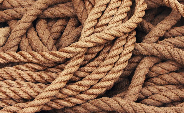 Tali adalah kumpulan lapisan linear, benang atau sehelai tali yang bengkok atau dikepang bersama dalam rangka untuk menggabungkan mereka ke dalam bentuk yang lebih besar dan lebih kuat.